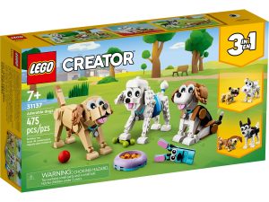 adorable dogs 31137